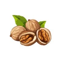 Dry Fruits
